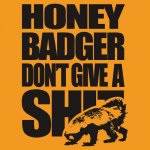 honey badger.jpg