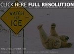 Funny-Quotes-about-Frosty-Weather-1.jpg