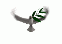 Animated_dove_holding_an_olive_branch.gif