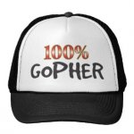 100 percent Gopher.jpg