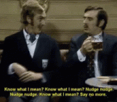 montypython-nudge.gif