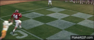 1746065697064.gif