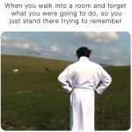 IMG_5320.jpeg