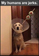 IMG_5551.jpeg