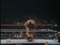 1753374592302.gif