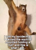 IMG_7901.jpeg