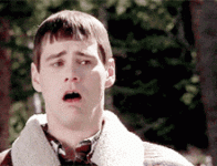 1000004076.gif