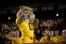 Goldy2.jpg