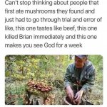 IMG_0450.jpeg