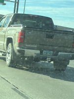 IMG_7800.jpeg