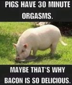 IMG_7817.jpeg