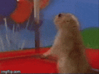 1000023863.gif