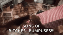 1779803790649.gif