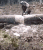 1782176977236.gif