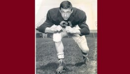 61 Robin Tellor .jpg 61 Robin Tellor .jpg