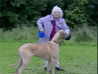 1783996067407.gif 1783996067407.gif