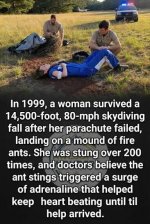 1784577363637.jpeg