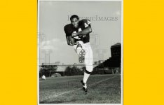 44 Terry Addison.jpg