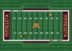 gopher field.jpg