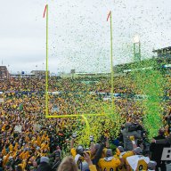 bisonation