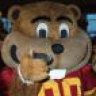 2nd Degree Gopher