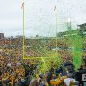 bisonation