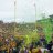 bisonation