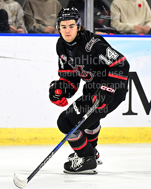 www.eliteprospects.com