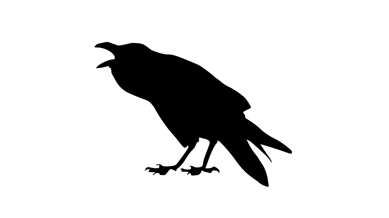 thebarkingcrow.com