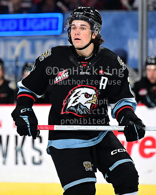 www.eliteprospects.com