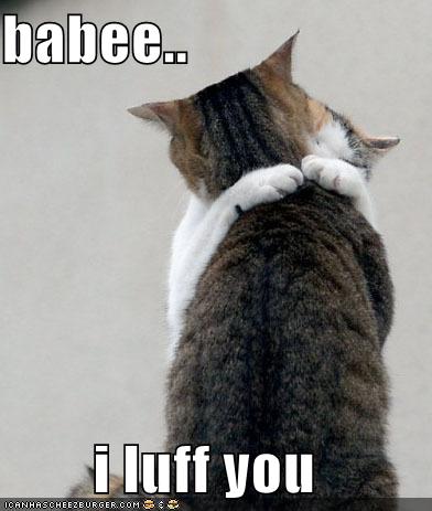 lolcats-funny-picture-baby-i-love-you.jpg