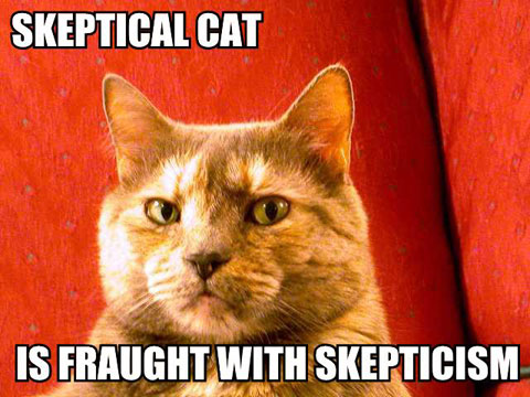 skeptical-cat-is-fraught-with-skepticism1.jpg