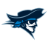 www.goreivers.com