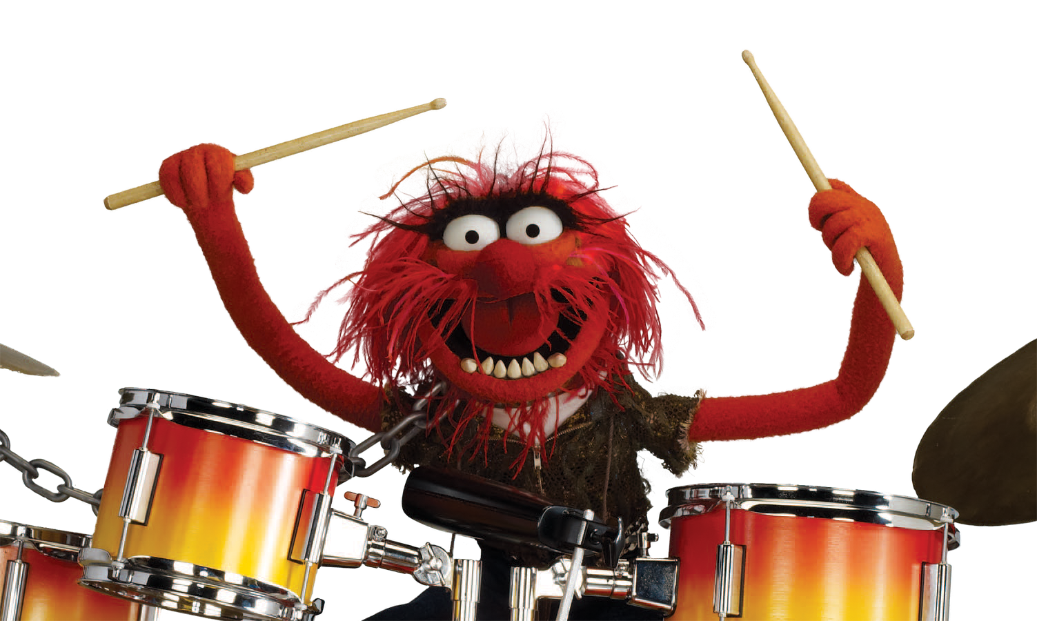 animal-muppet.png