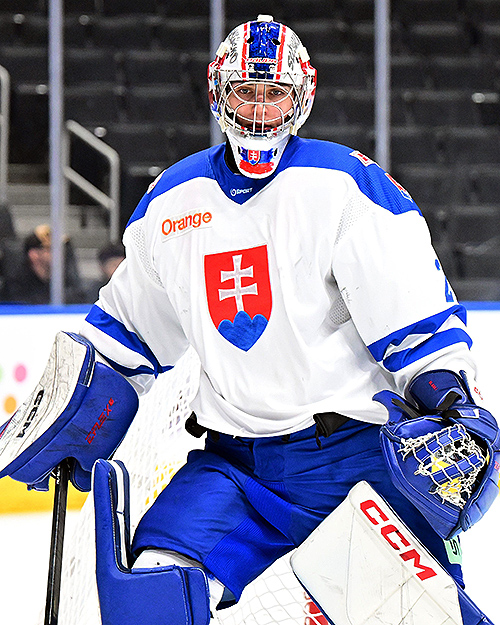 www.eliteprospects.com