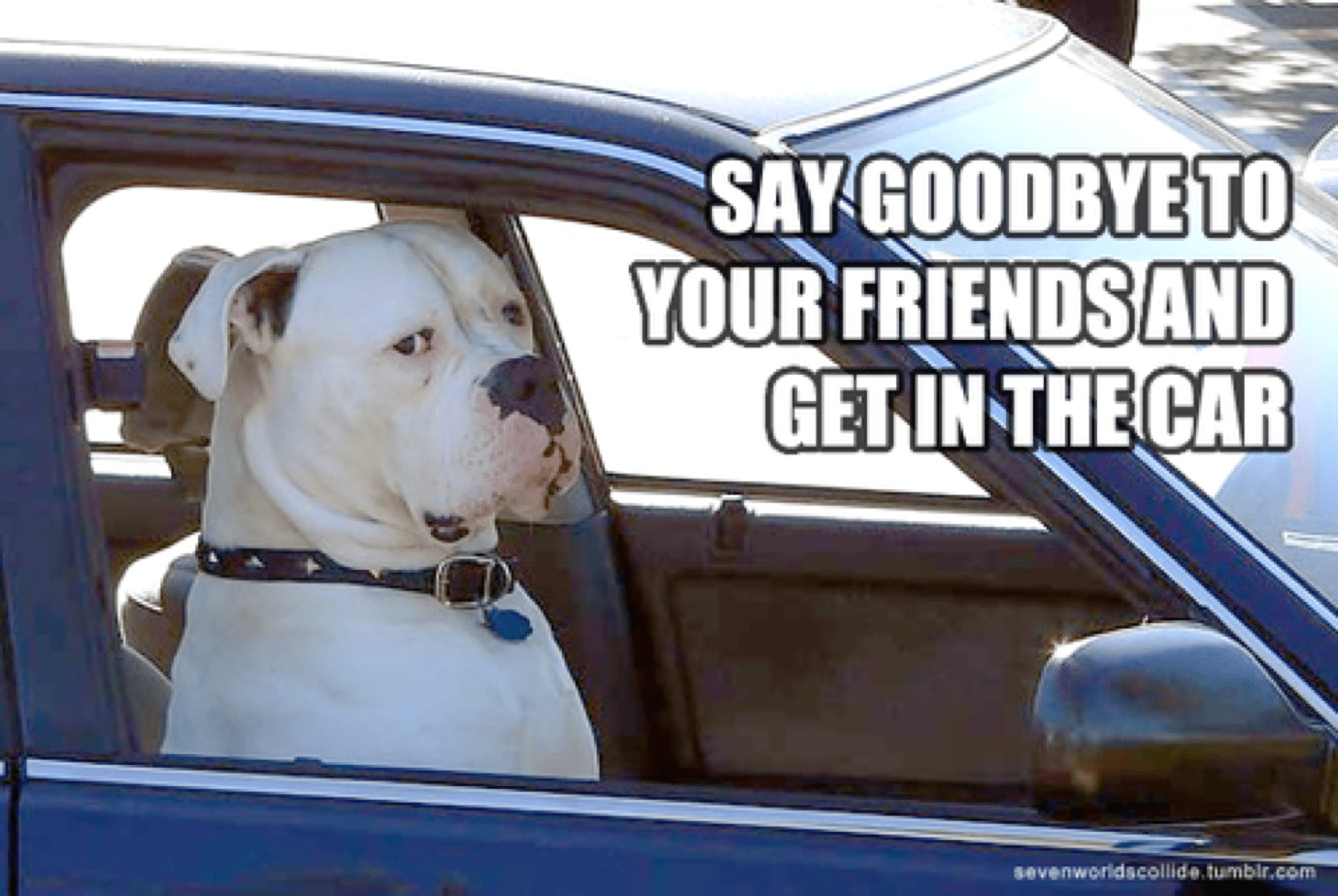 wpid-say-goodbye-to-your-friends.png