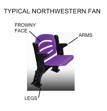 northwestern-fan.jpg