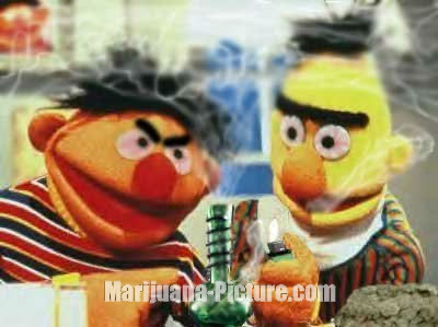 ernie_getting_stoned.jpg