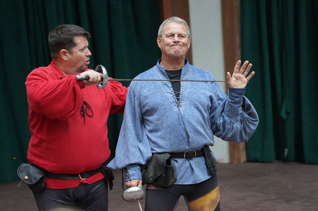 renaissancefest.com