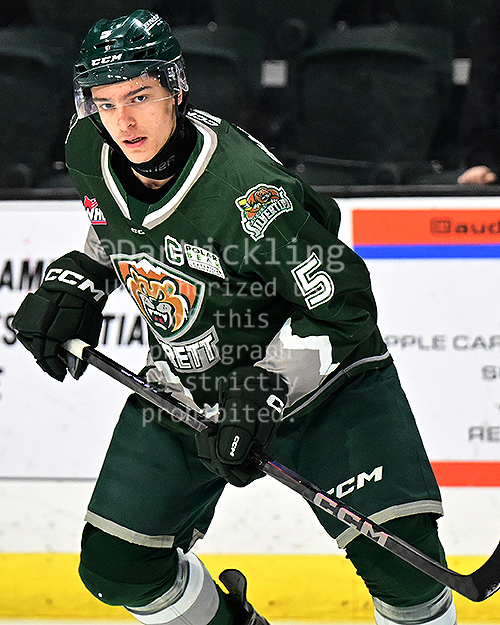 www.eliteprospects.com