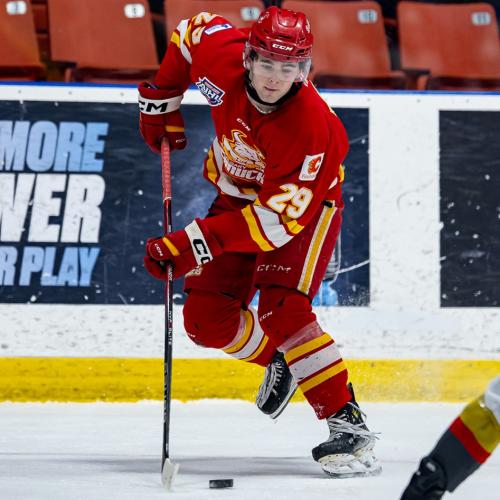 www.eliteprospects.com