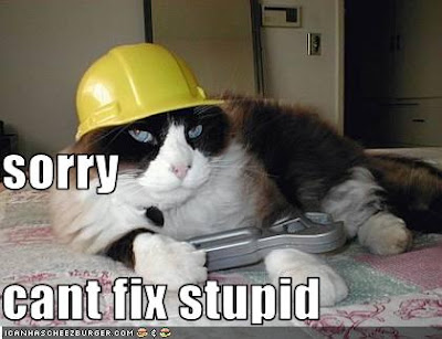 ICHC_CantFixStupid.jpg