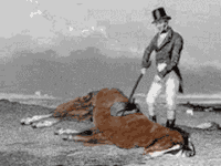 beating-dead-horse-gif-2.gif.e3713d3667ffbdc2d25a3b3e66f1b126.gif