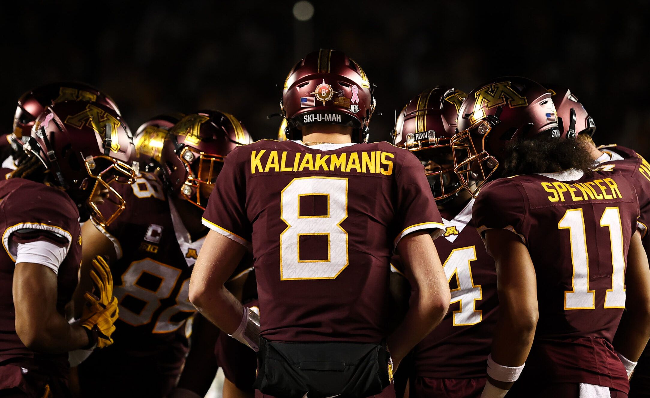 www.minnesotasportsfan.com