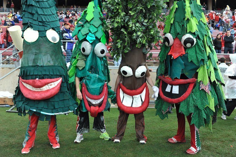 Stanford-Tree-Mascot-Monday.jpg