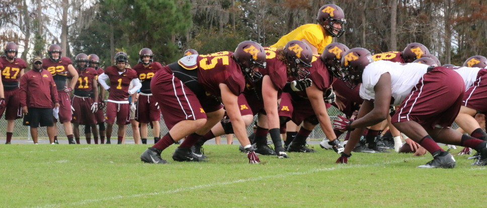 Gophers_Practice