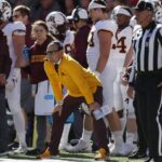 gophers-2