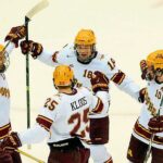 wpid-20150206__150207-GoHockRefer